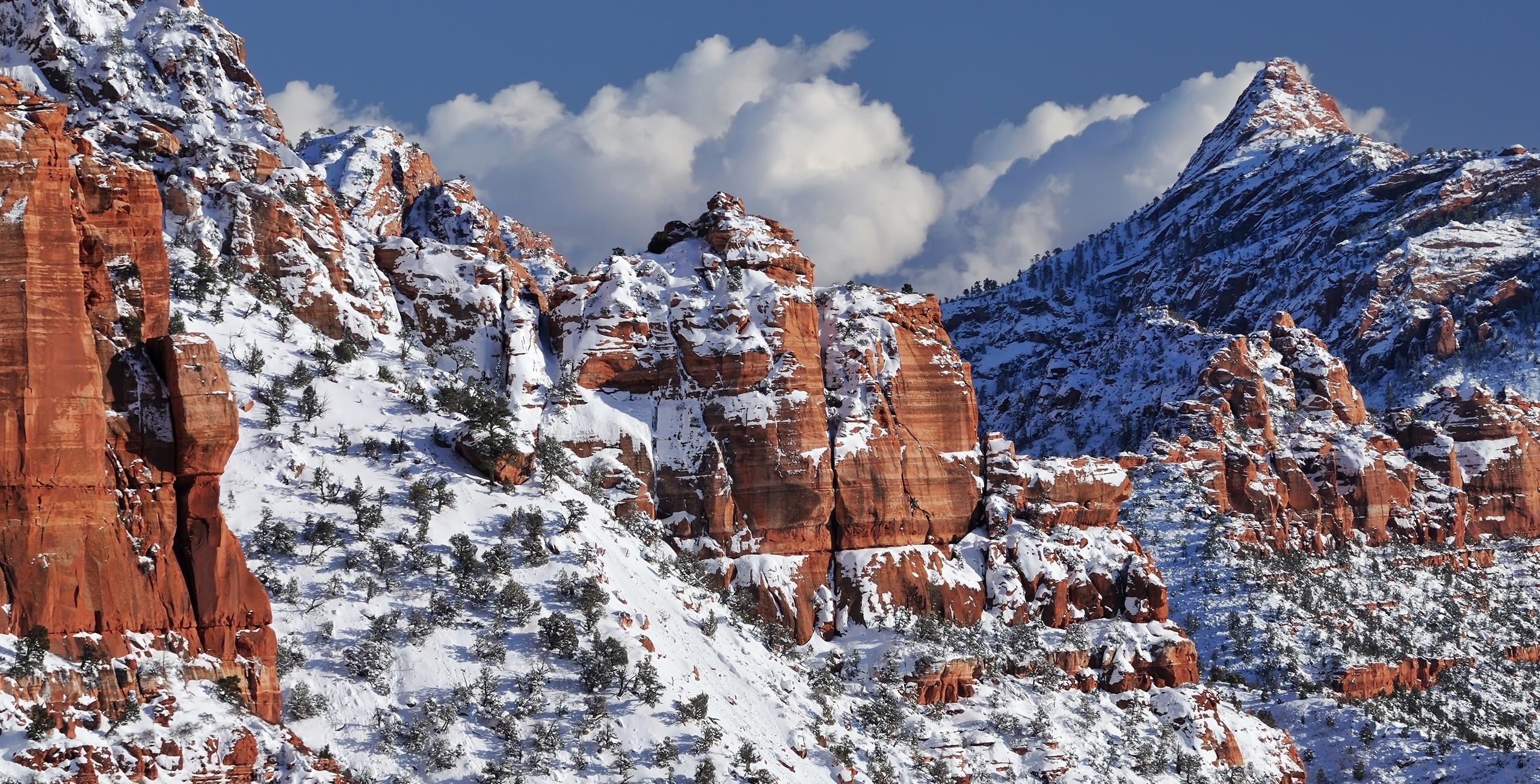 <span>Guests can relax at Amangiri’s award-winning spa or hike in Zion National Park</span>