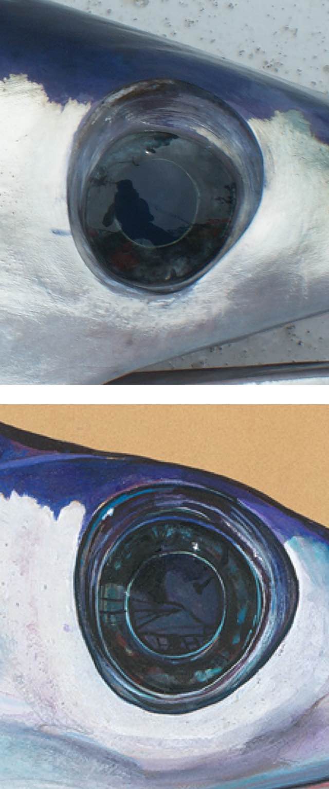             <strong>MIRROR IMAGE</strong><br />            <span              >Swordfish have unusually large eyes, which help them forage at              great depths; side-by-side comparison of the photo that inspired              the painting; and, below, Prosek takes notes aboard a fishing              boat.</span            >          